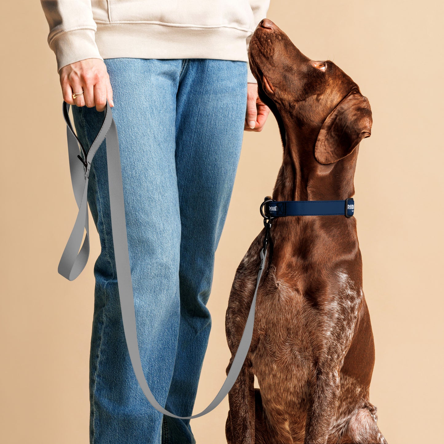 Pet collar By Rider&Road "Blue"