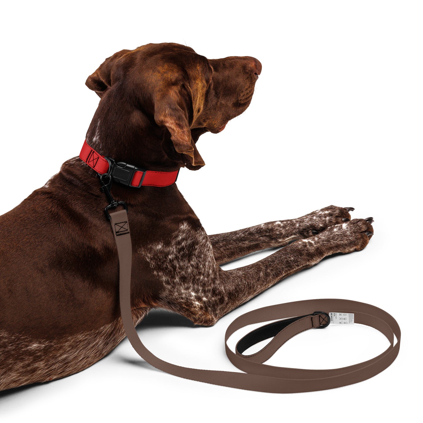 Pet collar By Rider&Road "Red"