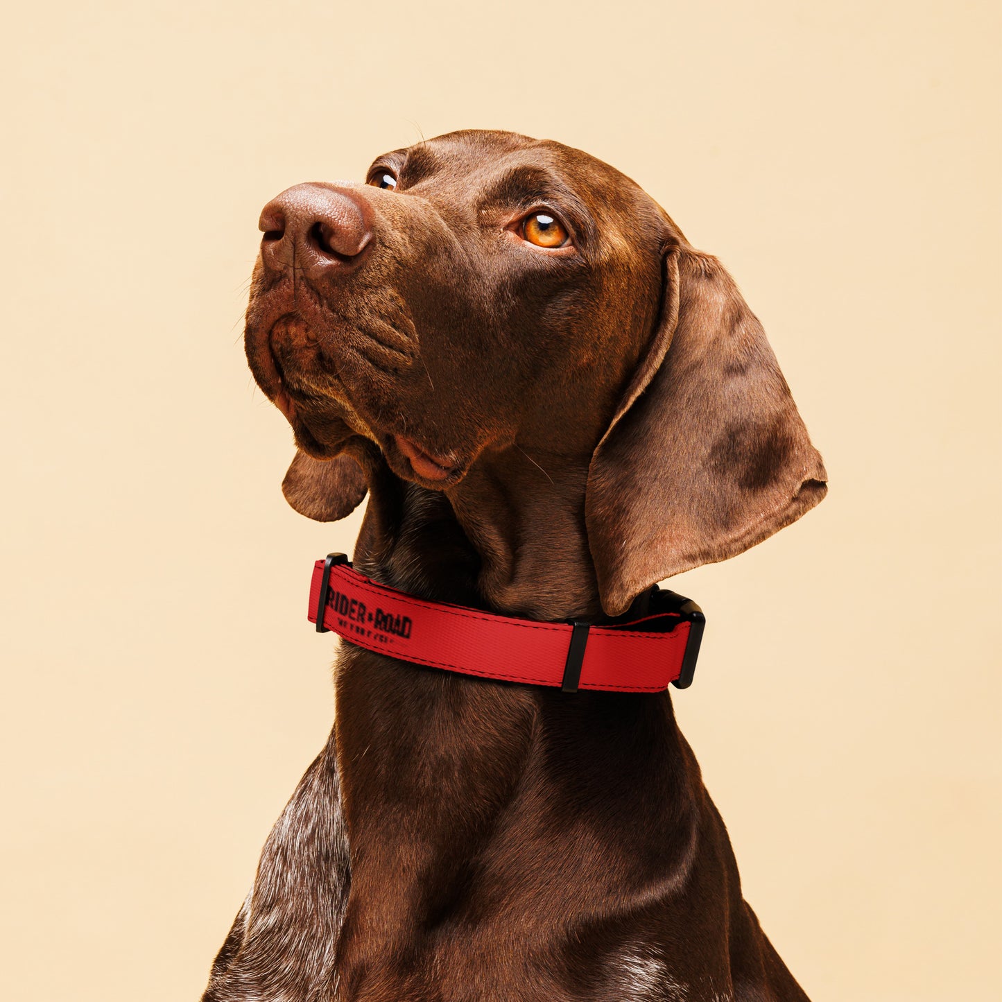 Pet collar By Rider&Road "Red"