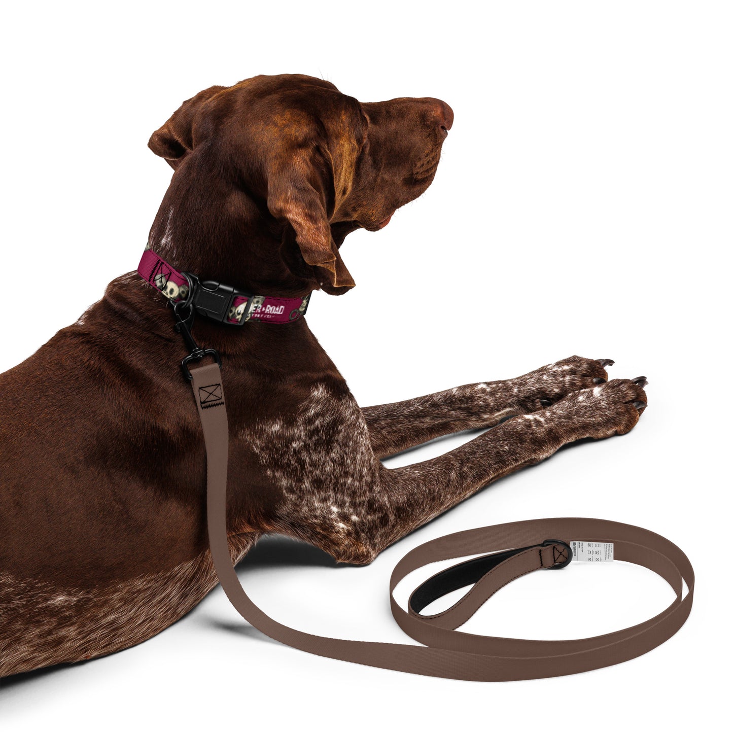 Pet collar By Rider&Road "Skulls & Pistons"