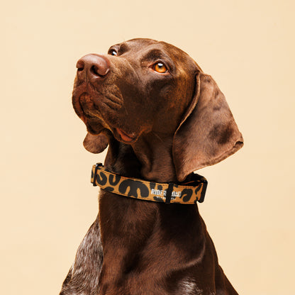 Pet collar By Rider&amp;Road "Leopard"