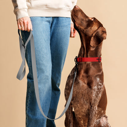 Pet collar By Rider&amp;Road "Red"